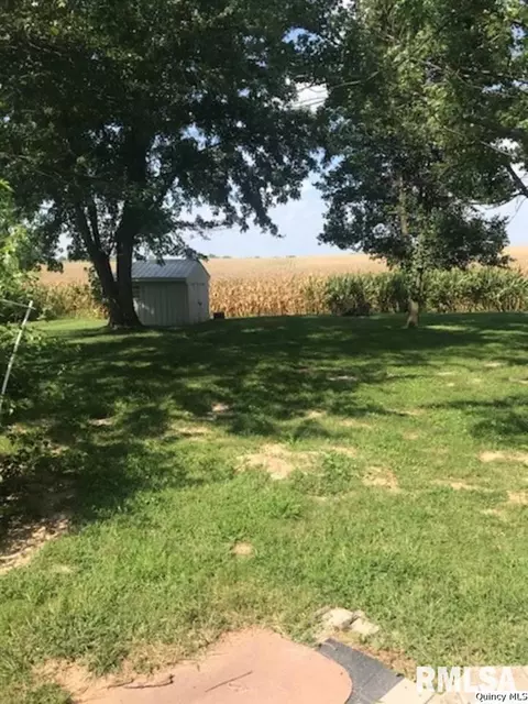312 W Maple Ave, Ursa, IL 62376 photo 34
