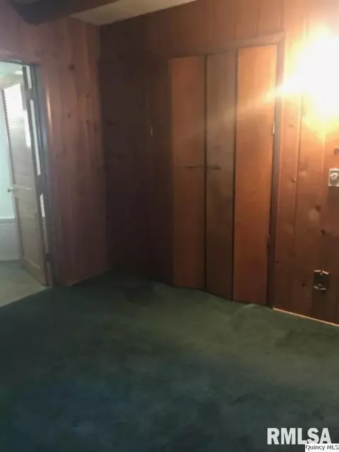 312 W Maple Ave, Ursa, IL 62376 photo 23