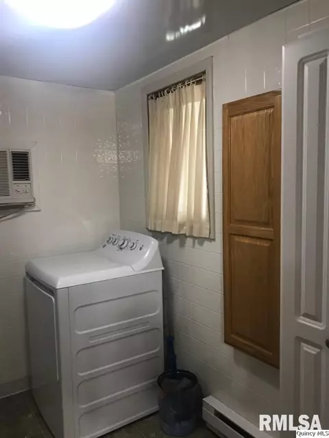 312 W Maple Ave, Ursa, IL 62376 photo 21