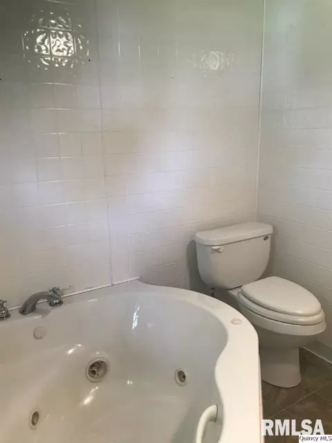 312 W Maple Ave, Ursa, IL 62376 photo 25