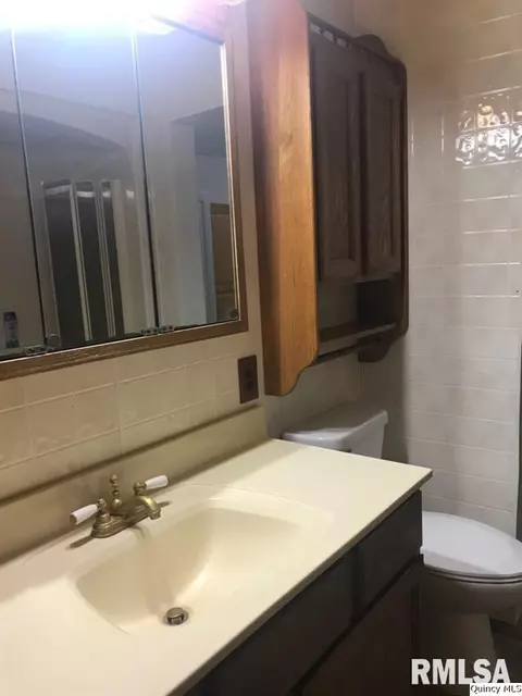 312 W Maple Ave, Ursa, IL 62376 photo 18