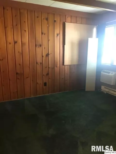 312 W Maple Ave, Ursa, IL 62376 photo 22
