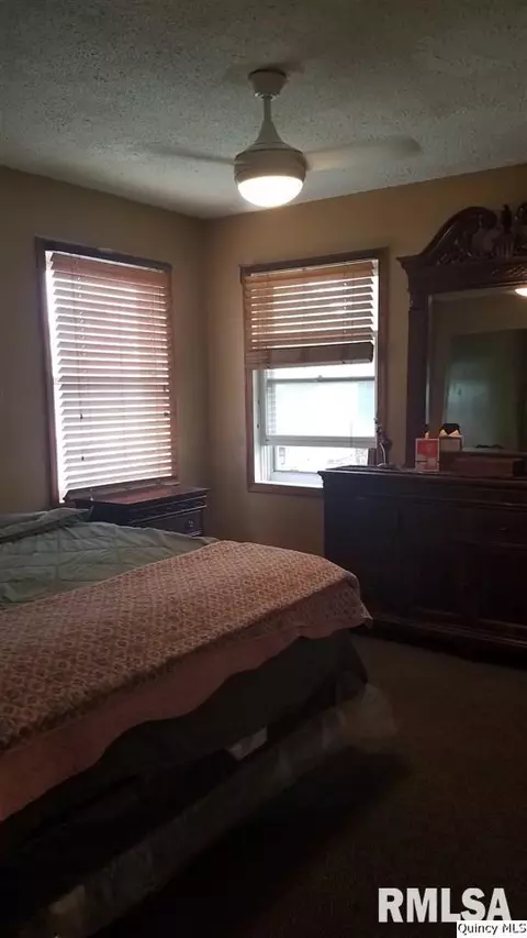 8117 Dawn Rd, Fowler, IL 62338 photo 7