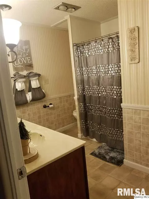 556 W Collins, Mendon, IL 62351 photo 24