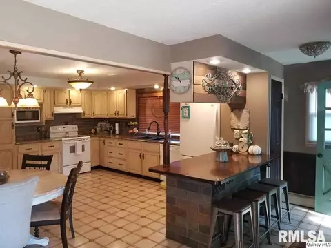 556 W Collins, Mendon, IL 62351 photo 2