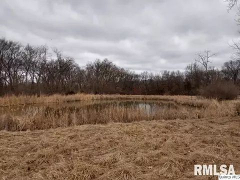 555 E 2553rd Ln, Liberty, IL 62347 photo 5