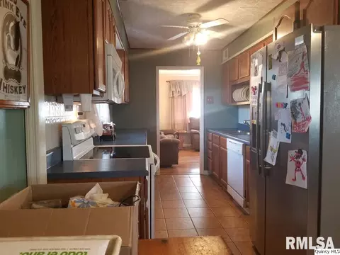 1237 Pratt St, Barry, IL 62312 photo 3