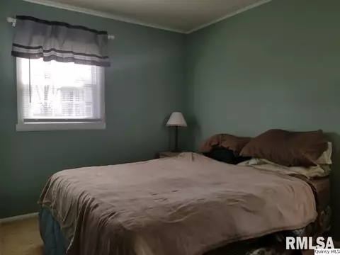1237 Pratt St, Barry, IL 62312 photo 8