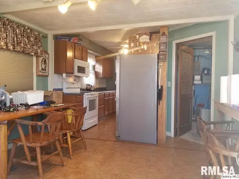 1237 Pratt St, Barry, IL 62312 photo 5