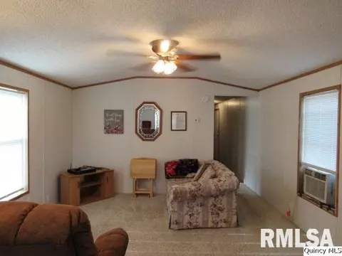 1429 Gilmoor Dr, Fowler, IL 62338 photo 5