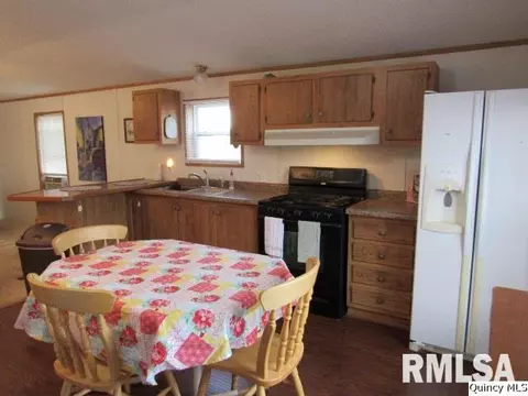 1429 Gilmoor Dr, Fowler, IL 62338 photo 3