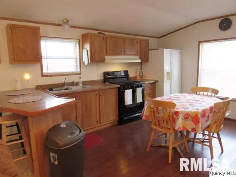 1429 Gilmoor Dr, Fowler, IL 62338 photo 2