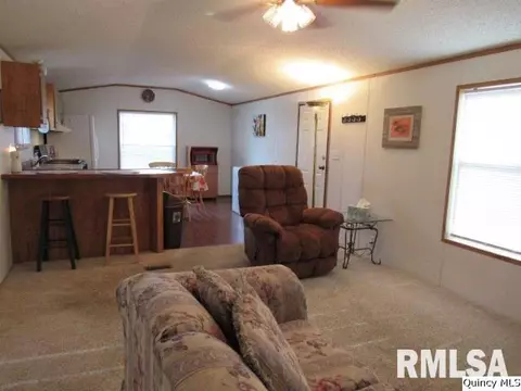1429 Gilmoor Dr, Fowler, IL 62338 photo 4