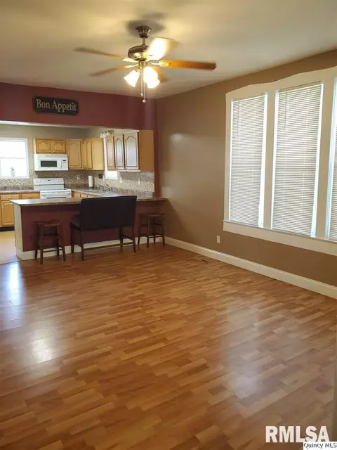 316 N Illinois, Camp Point, IL 62320 photo 5