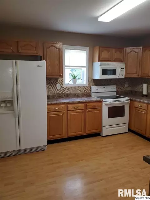 316 N Illinois, Camp Point, IL 62320 photo 11