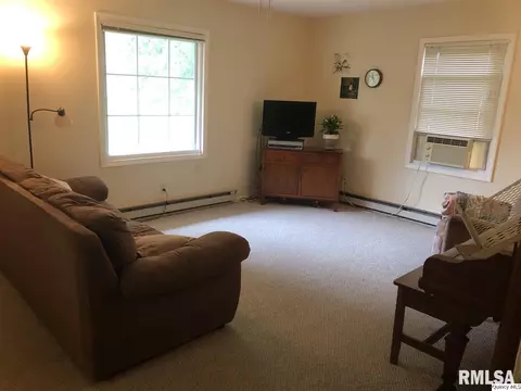 370 S Lee Evans Dr, Hull, IL 62343 photo 3
