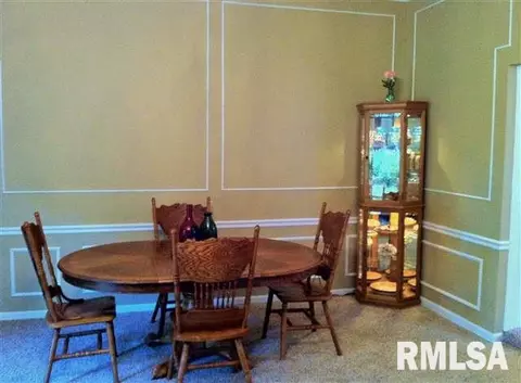 334 E Van Buren St, Greenview, IL 62642 photo 8