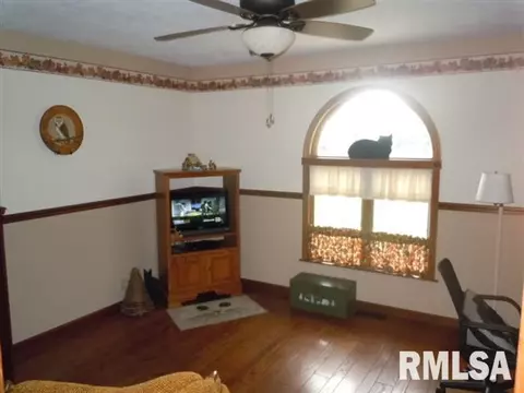 1703 1300th St, Beason, IL 62512 photo 7
