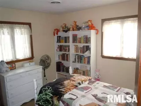 1703 1300th St, Beason, IL 62512 photo 10