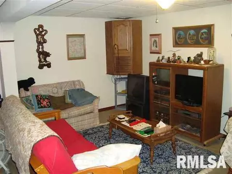 115 E Williams St, Broadwell, IL 62634 photo 15