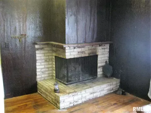 221 S Spring St, Mount Pulaski, IL 62548 photo 4