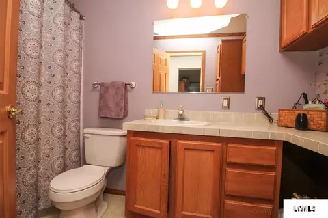 107 Elm St, Lake Fork, IL 62541 photo 26