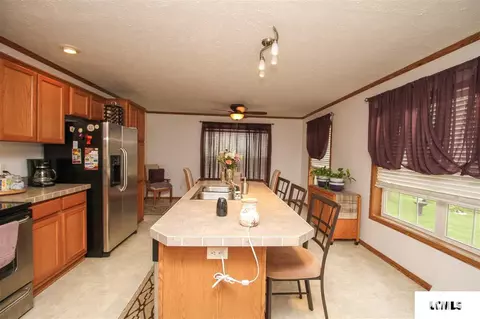 107 Elm St, Lake Fork, IL 62541 photo 6