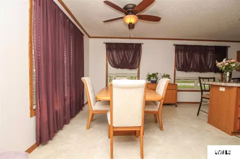 107 Elm St, Lake Fork, IL 62541 photo 12