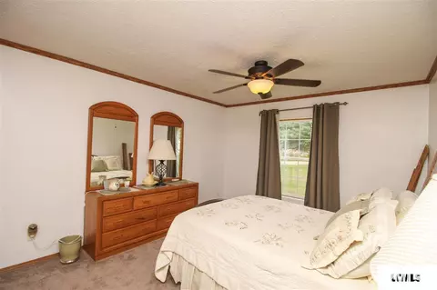 107 Elm St, Lake Fork, IL 62541 photo 21