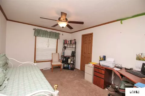 107 Elm St, Lake Fork, IL 62541 photo 24