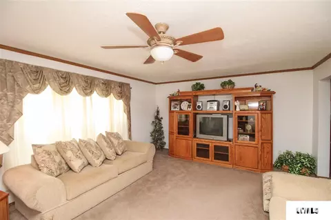 107 Elm St, Lake Fork, IL 62541 photo 5