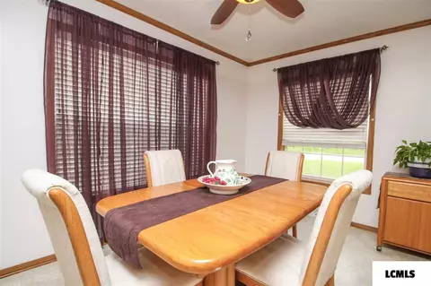 107 Elm St, Lake Fork, IL 62541 photo 11