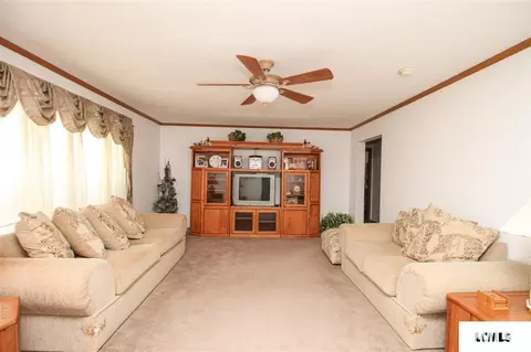 107 Elm St, Lake Fork, IL 62541 photo 4