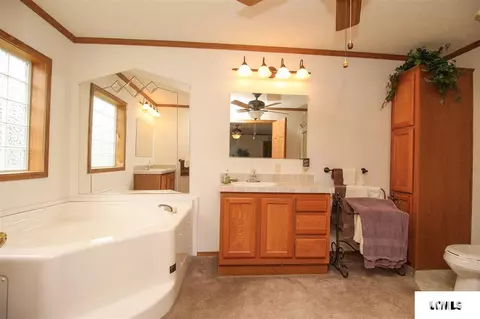 107 Elm St, Lake Fork, IL 62541 photo 18