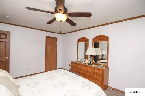 107 Elm St, Lake Fork, IL 62541 photo 23