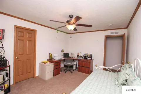 107 Elm St, Lake Fork, IL 62541 photo 25