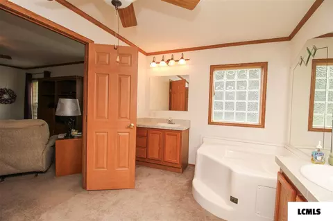 107 Elm St, Lake Fork, IL 62541 photo 20