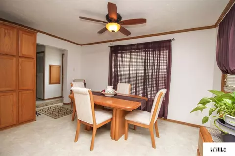 107 Elm St, Lake Fork, IL 62541 photo 10