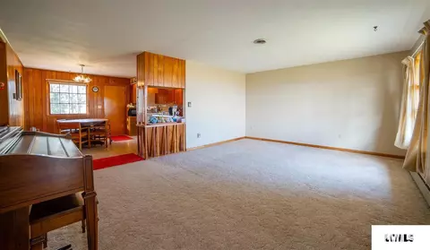 223 1400th Ave, Mount Pulaski, IL 62548 photo 2
