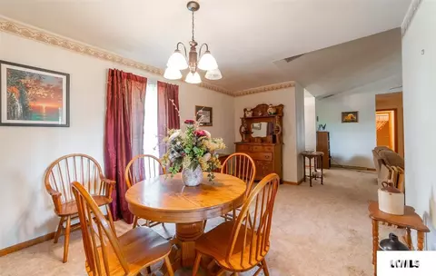 24926 Dosier Rd, Greenview, IL 62642 photo 8