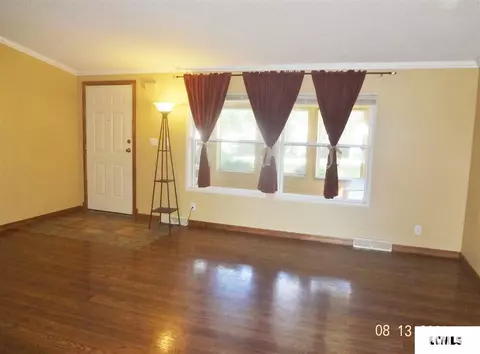 303 W Olive St, Chestnut, IL 62518 photo 6