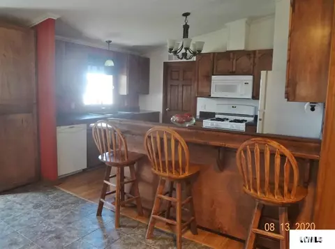 303 W Olive St, Chestnut, IL 62518 photo 3