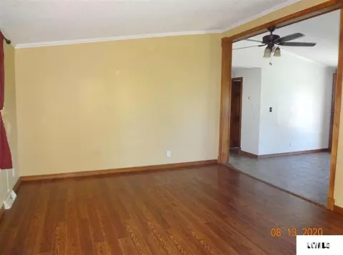 303 W Olive St, Chestnut, IL 62518 photo 8