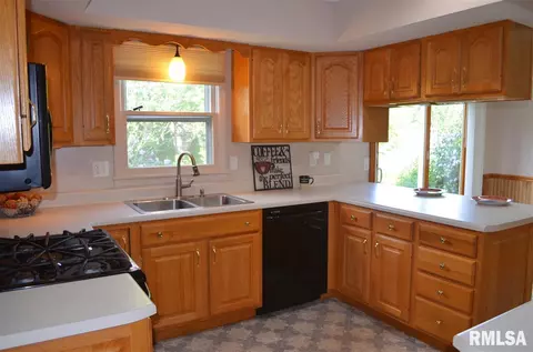 41 Drawbridge Rd, Springfield, IL 62704 photo 4