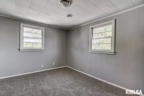 1009 W Iles Ave, Springfield, IL 62704 photo 32