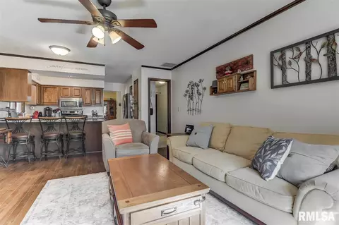 33 Red Fox Ct, Springfield, IL 62712 photo 11