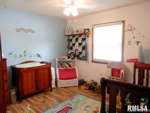 109 E Ctr, Rio, IL 61472 photo 23
