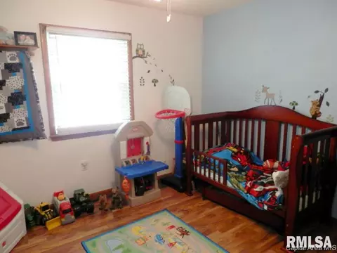 109 E Ctr, Rio, IL 61472 photo 24