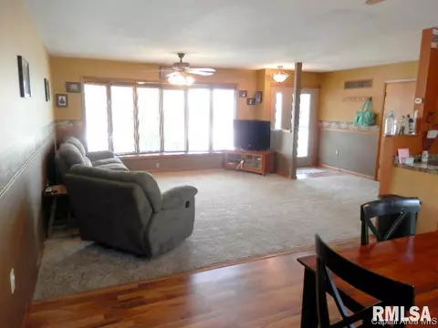 109 E Ctr, Rio, IL 61472 photo 11