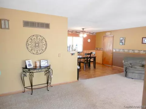 109 E Ctr, Rio, IL 61472 photo 13
